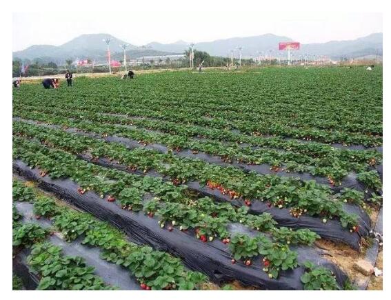 1550640636408151.jpg 1550640636408151.jpg