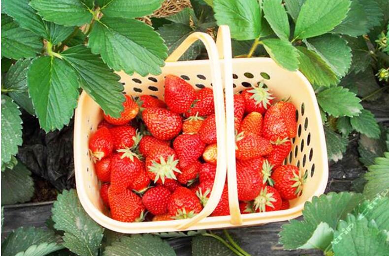 1550641157623554.jpg 1550641157623554.jpg