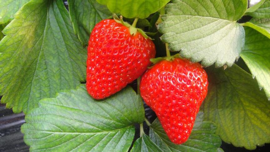 1550641260565415.jpg 1550641260565415.jpg