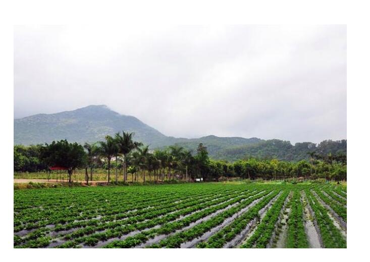 1550641399104455.jpg 1550641399104455.jpg