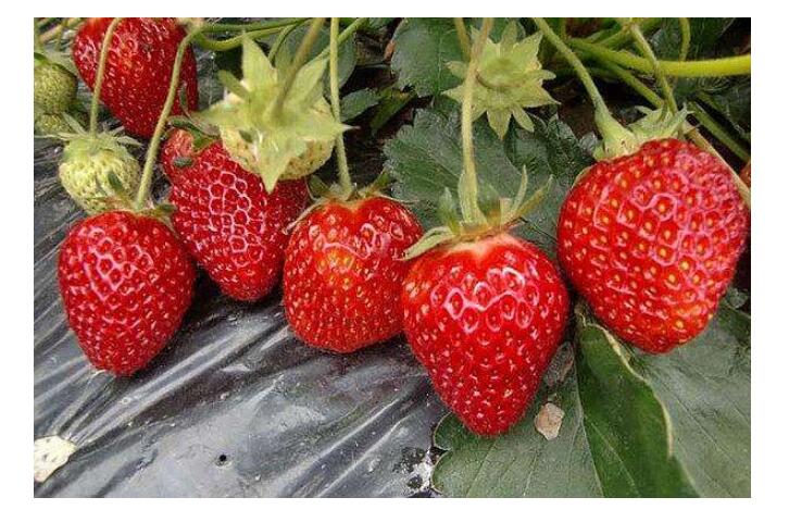 1550641399729044.jpg 1550641399729044.jpg