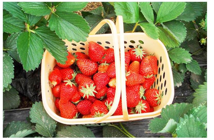 1550641480469160.jpg 1550641480469160.jpg