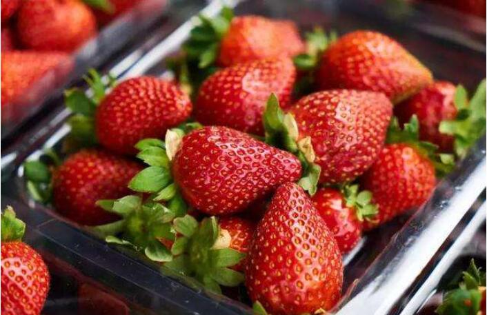 1550641720682699.jpg 1550641720682699.jpg