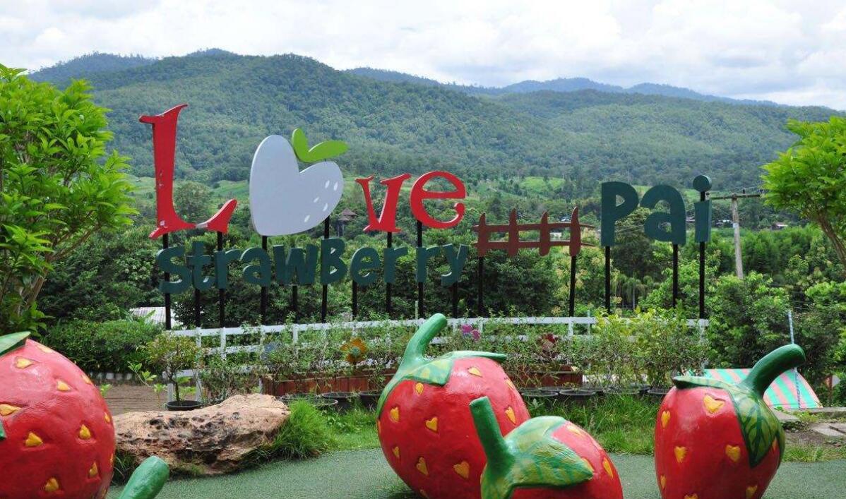 1550641721681989.jpg 1550641721681989.jpg