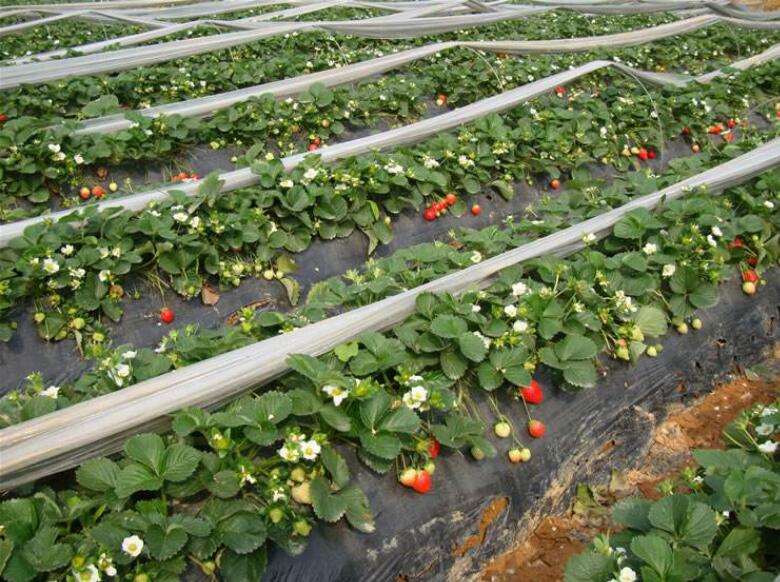 1550641907883556.jpg 1550641907883556.jpg