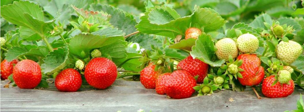 1550642066958833.jpg 1550642066958833.jpg