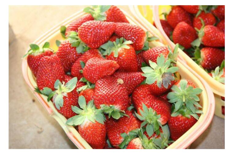 1550646032320111.jpg 1550646032320111.jpg