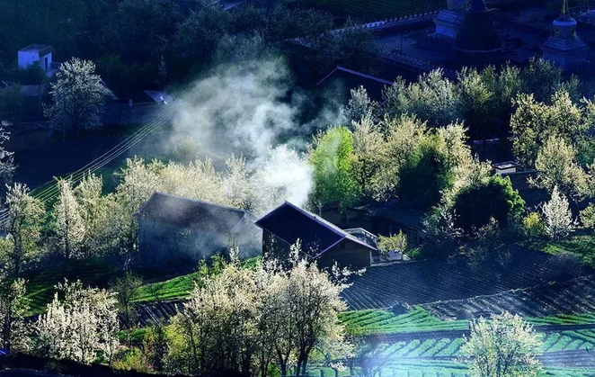 1552890021679367.png 1552890021679367.png