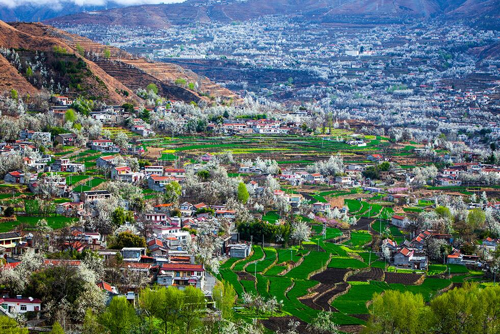 1552890082308247.jpg 1552890082308247.jpg