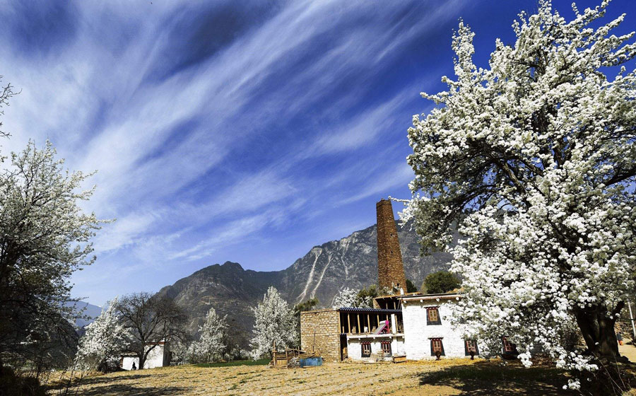 1552889568308224.jpg 1552889568308224.jpg