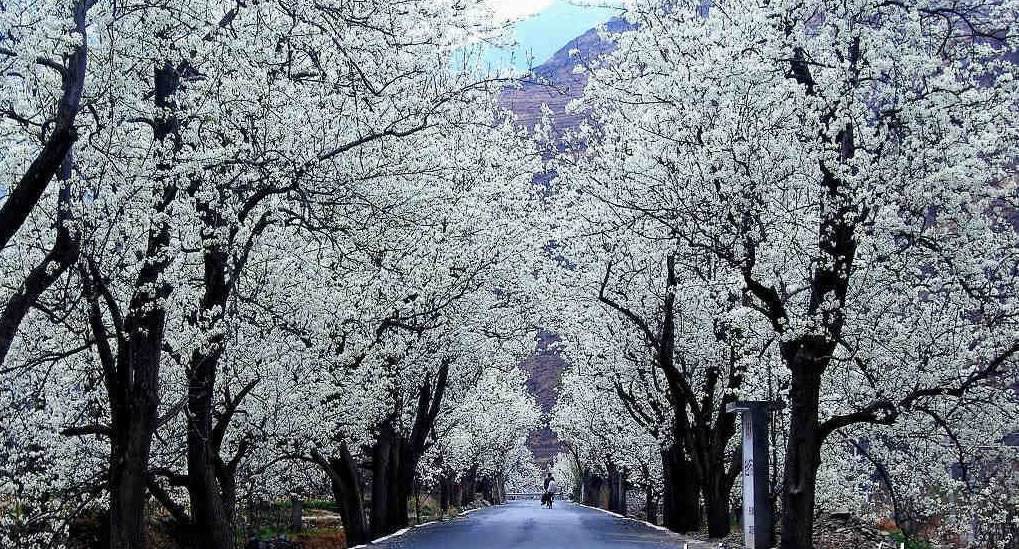 1552896012480791.jpg 1552896012480791.jpg