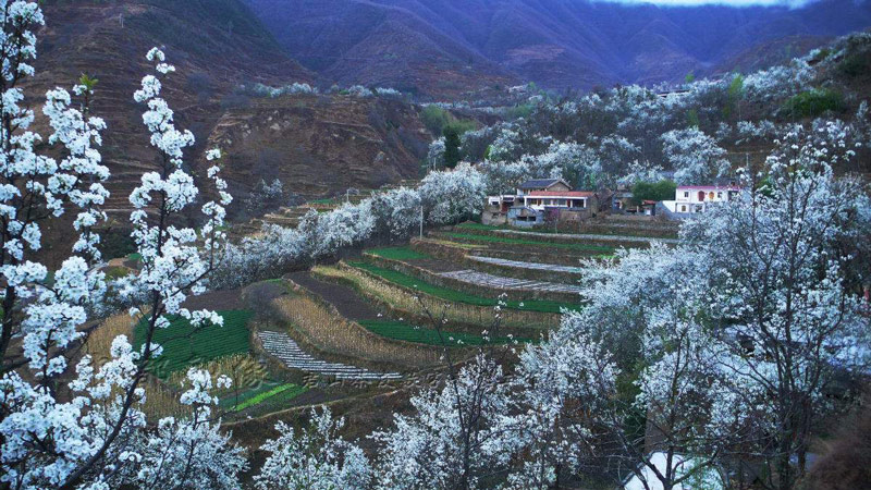 1552891741592297.jpg 1552891741592297.jpg