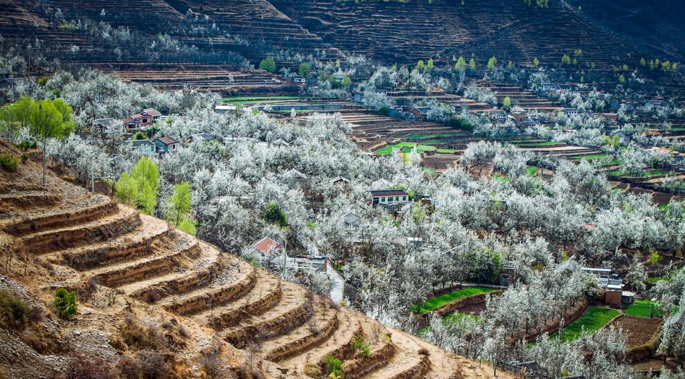 1552895601850567.jpg 1552895601850567.jpg