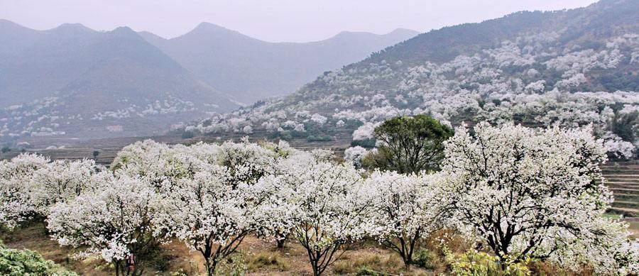 1552896448732537.jpg 1552896448732537.jpg