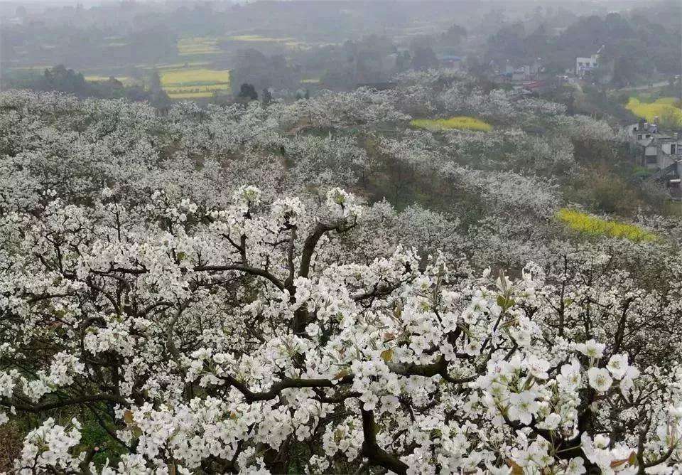 1552897121111589.jpg 1552897121111589.jpg