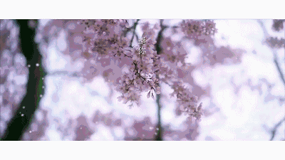 1552965553173341.gif