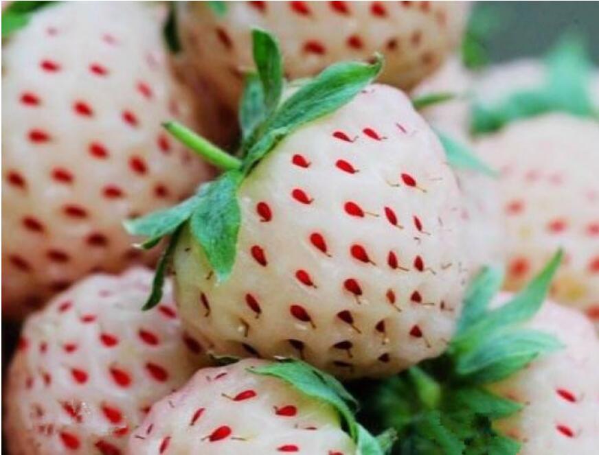 1554348895969835.jpg 1554348895969835.jpg