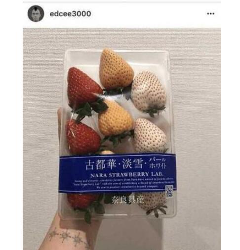 1554343385323100.jpg 1554343385323100.jpg