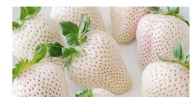 1554348964984605.jpg 1554348964984605.jpg