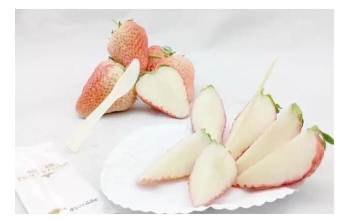 1554348953829904.jpg 1554348953829904.jpg