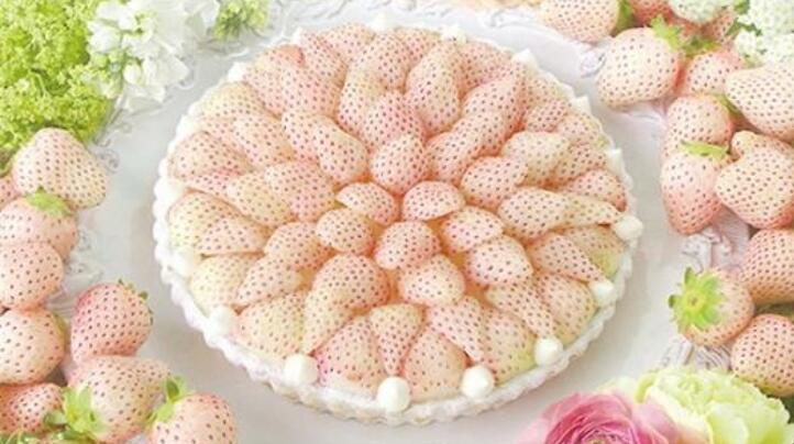 1554349150462993.jpg 1554349150462993.jpg