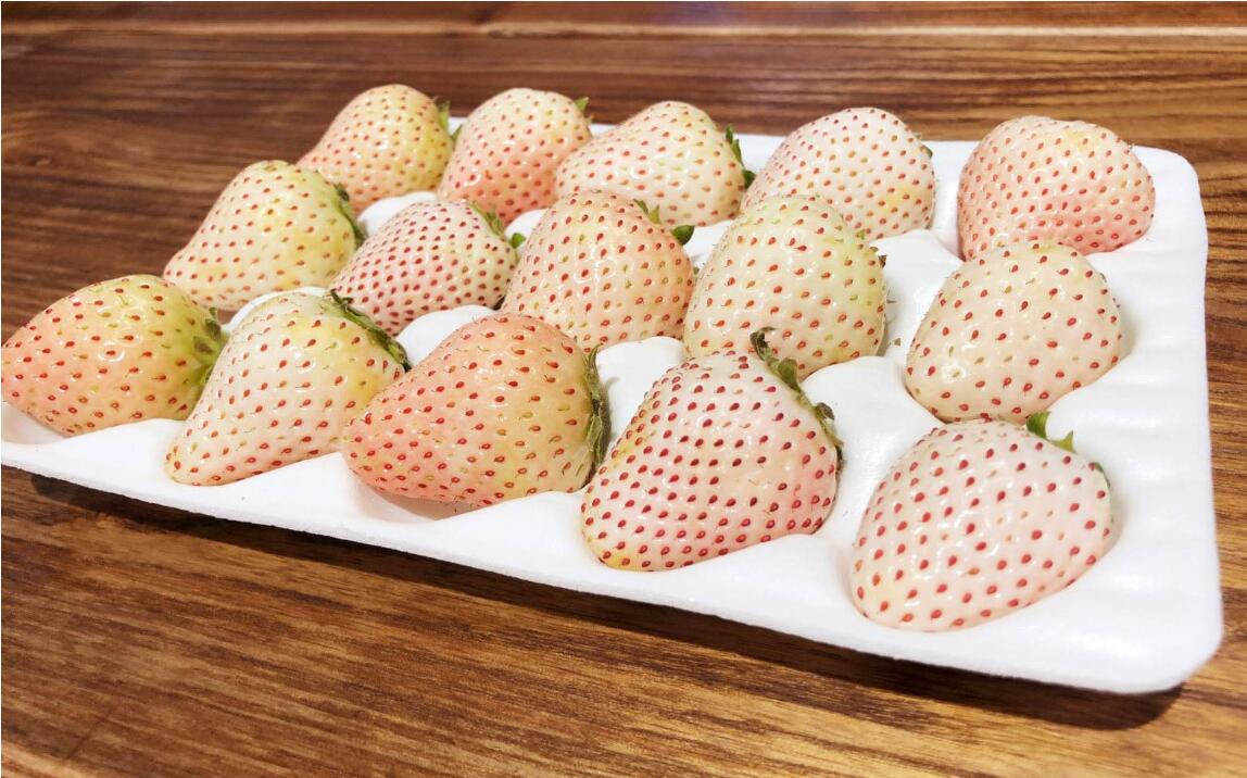 1554358708612924.jpg 1554358708612924.jpg