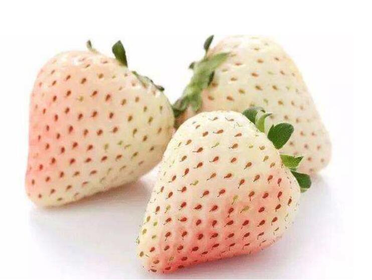 1554356192731405.jpg 1554356192731405.jpg