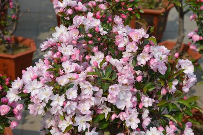 1554688375800309.jpg 1554688375800309.jpg