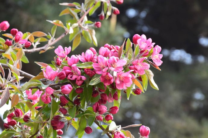 1554689822208530.jpg 1554689822208530.jpg