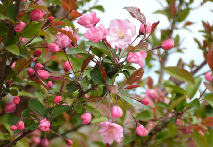 1554689565707999.jpg 1554689565707999.jpg