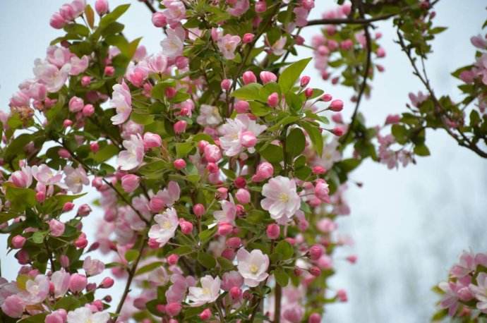 1554688392971593.jpg 1554688392971593.jpg