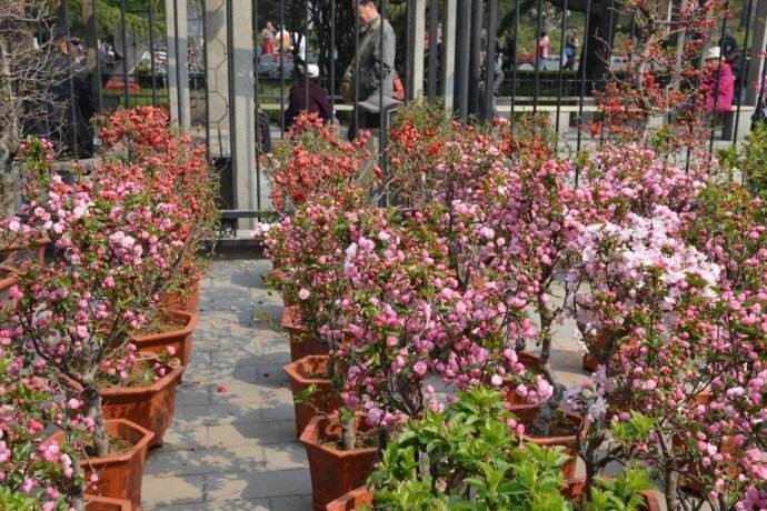 1554688809562093.jpg 1554688809562093.jpg