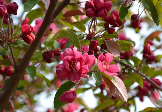 1554689662522578.jpg 1554689662522578.jpg