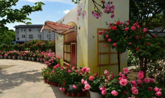 1554689181615086.png 1554689181615086.png