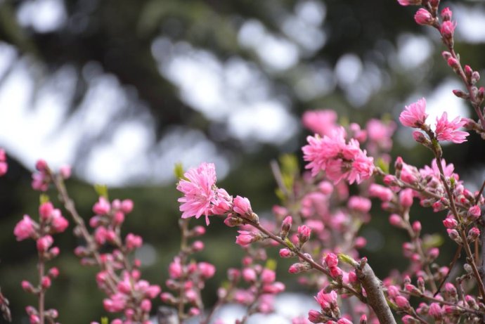 1554693200467134.jpg 1554693200467134.jpg