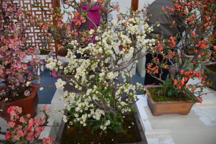 1554689889746114.jpg 1554689889746114.jpg