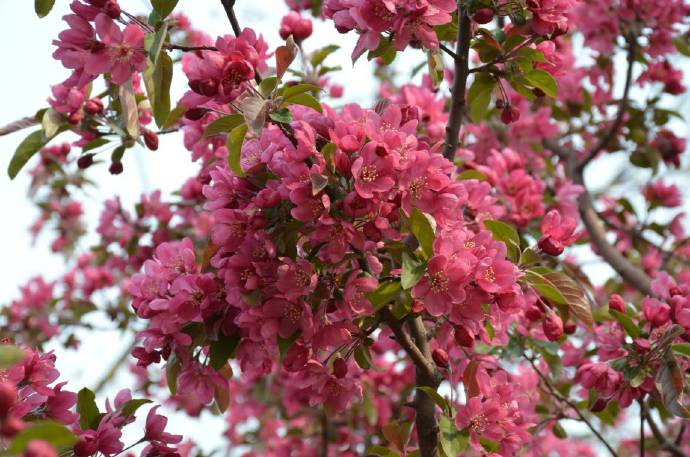 1554689995764289.jpg 1554689995764289.jpg