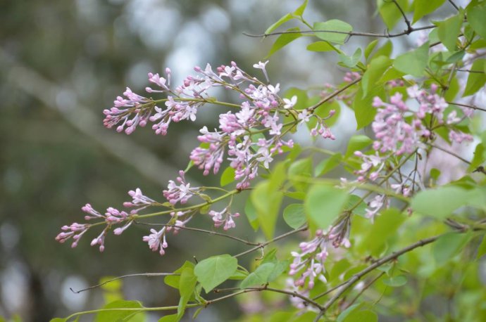 1554693208204836.jpg 1554693208204836.jpg