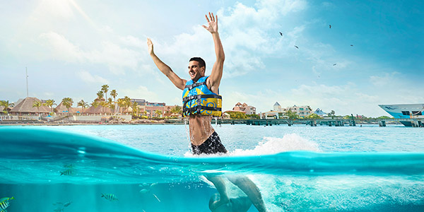 1547686815520308.jpg Dolphin-Discoverys-Royal-Swim-VIP-Plus-3.jpg