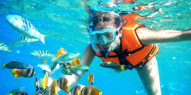 1547686904854486.jpg Extreme-Adventure-Park-6.jpg