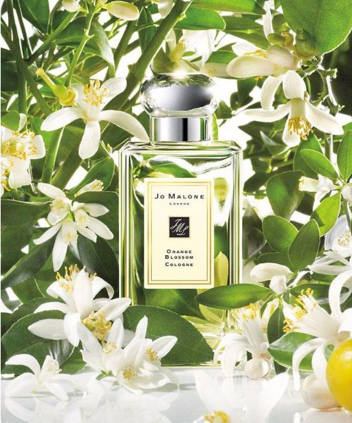 1558679457675754.png 1558679457675754.png