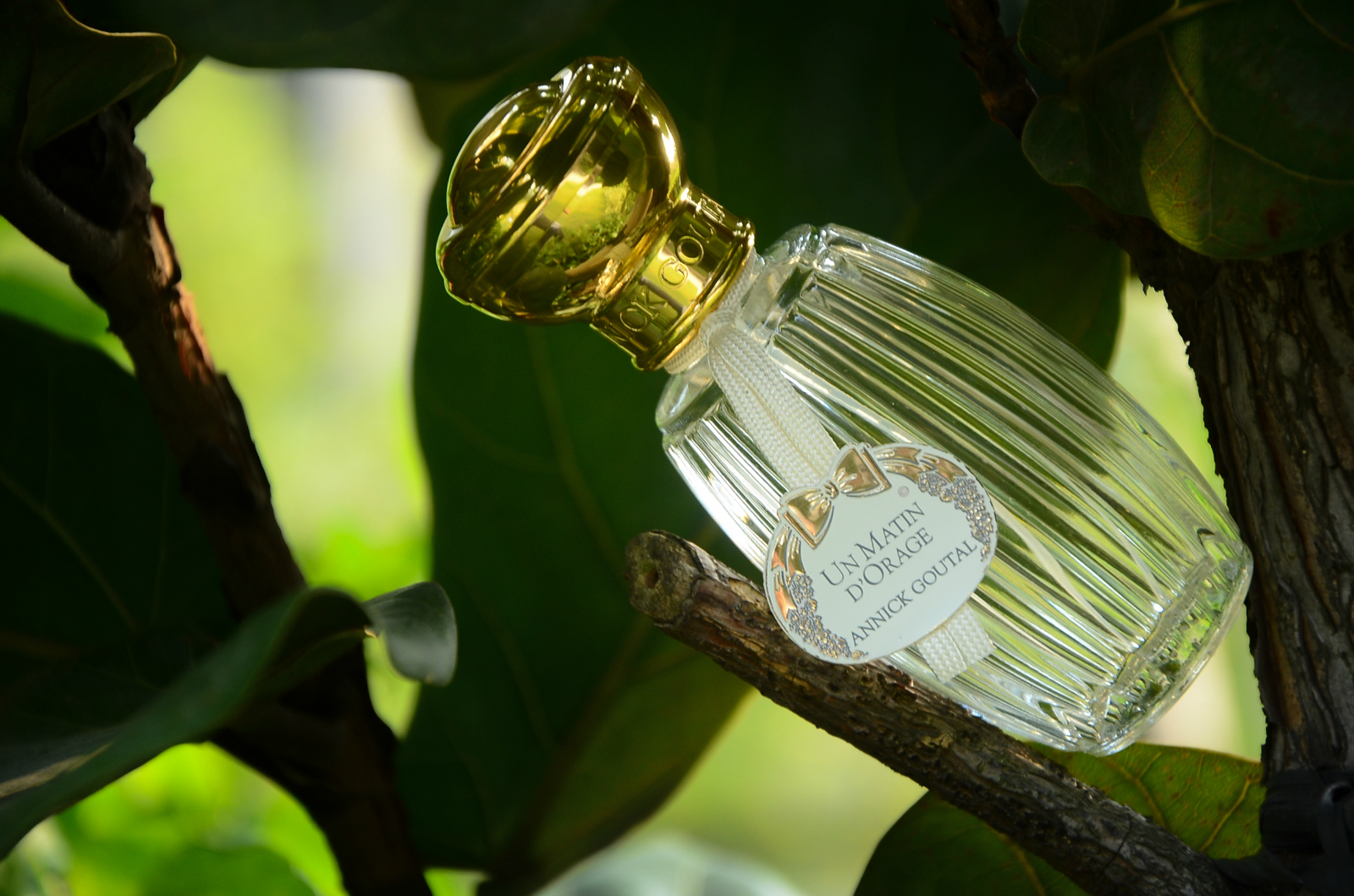 1558682445272753.jpg 1558682445272753.jpg