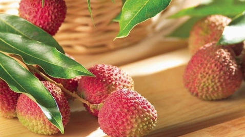 2025福建荔枝采摘攻略（附最佳摘荔枝时间地点+价格+交通路线）