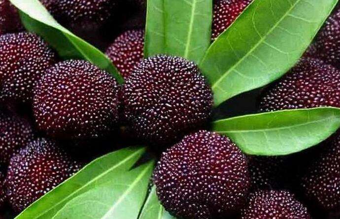 2019常州全年水果采摘时间表 - 周边最佳摘水果地点推荐（附价格+交通路线）