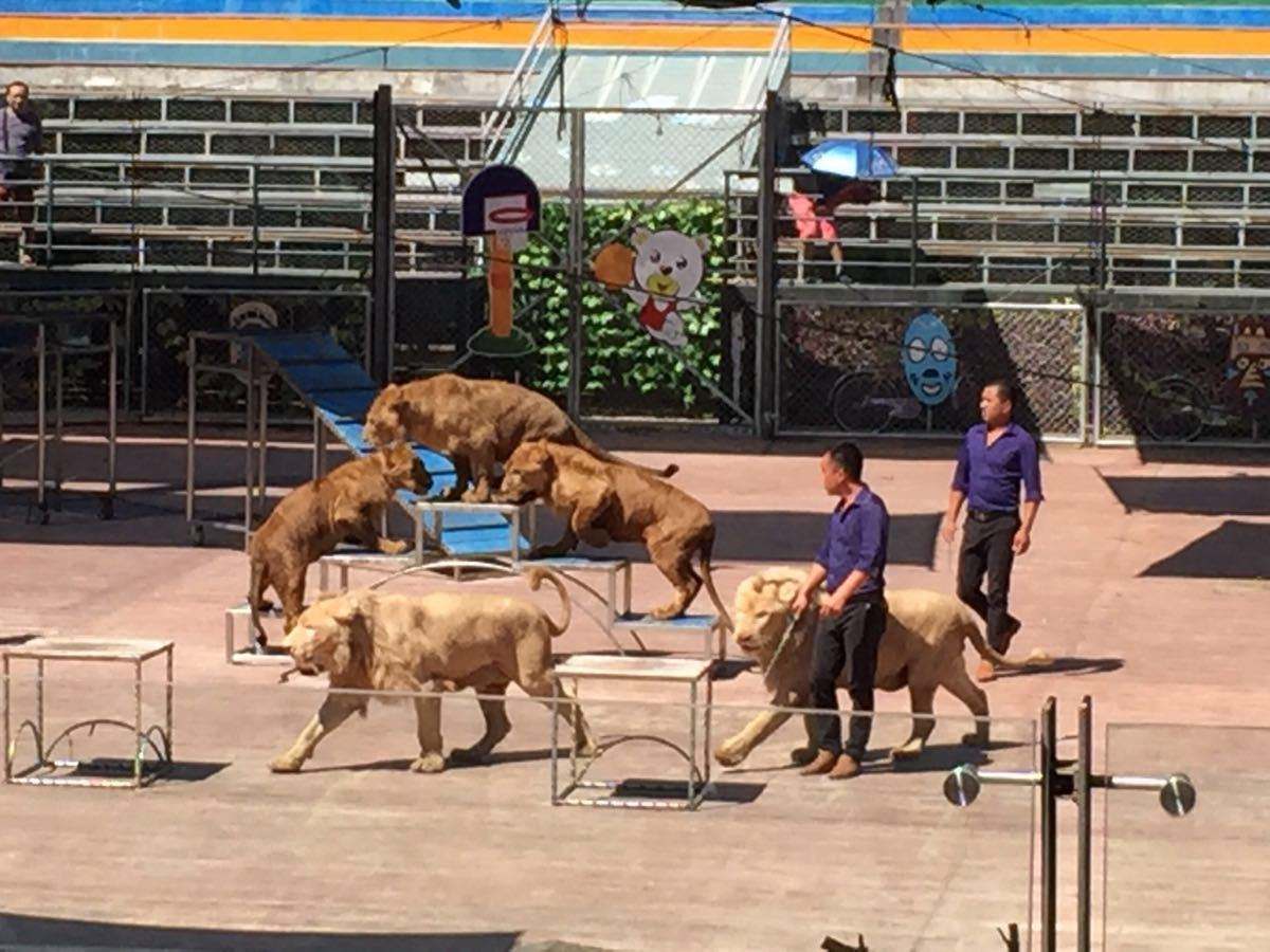 1562807149120420.jpg 1562807149120420.jpg