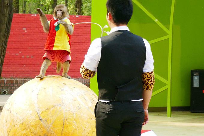 1562807304869046.jpg 1562807304869046.jpg