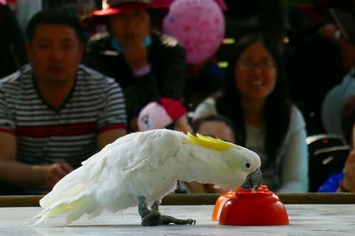 1562807296550393.jpg 1562807296550393.jpg