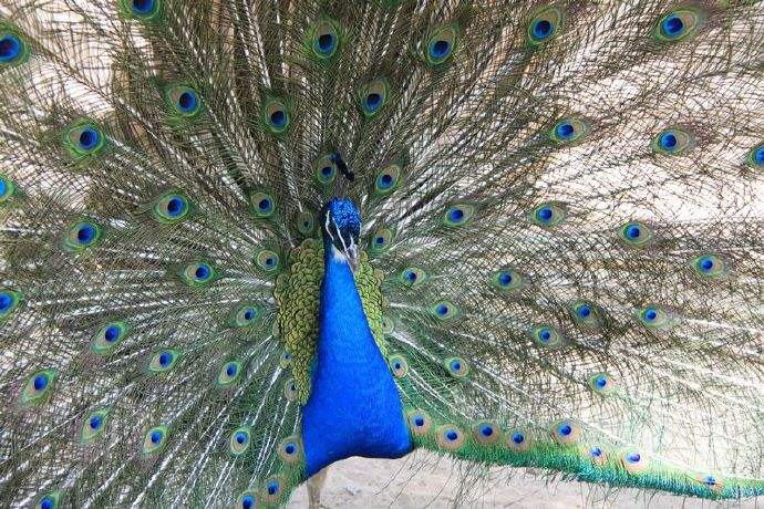 1562806786156828.jpg 1562806786156828.jpg