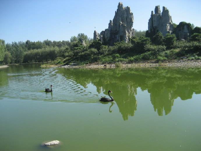 1562806715456187.jpg 1562806715456187.jpg