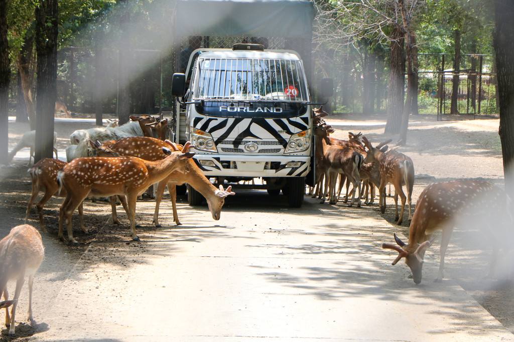 1562808524578190.jpg 1562808524578190.jpg